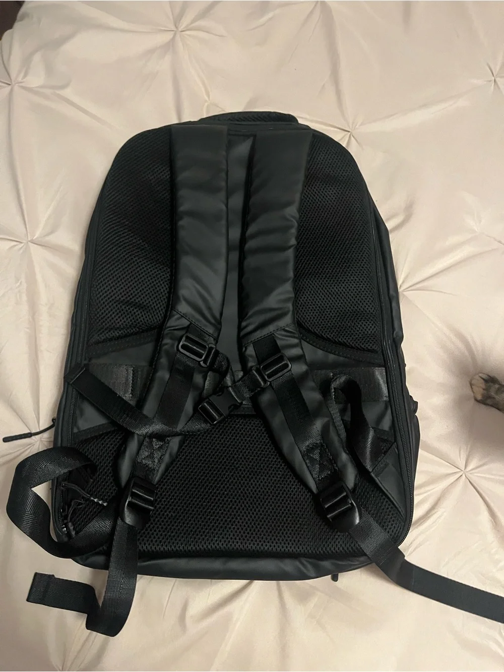 Black Everyday Backpack or Carry On - Sleek Urban
